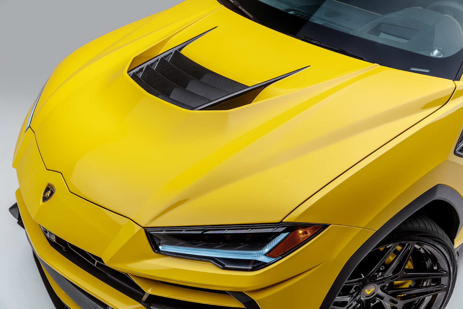 Капот - 2010LOV